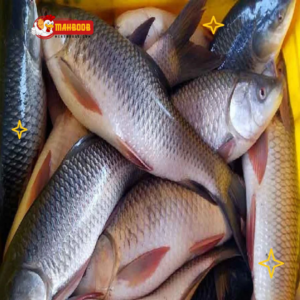 dumra fish (raw)