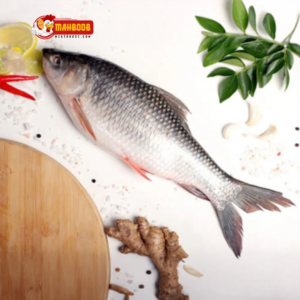 fresh rohu fish